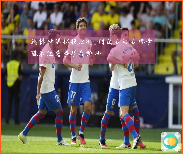 选择世界杯投注app时的合法合规步骤和注意事项有哪些