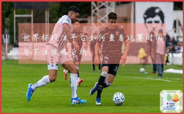 世界杯投注平台如何查看比赛时间与下注攻略分析