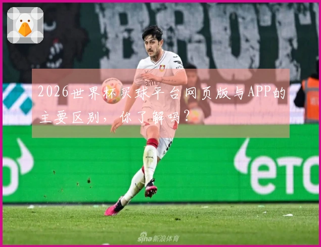 2026世界杯买球平台网页版与APP的主要区别，你了解吗？